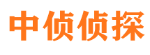 沙市市出轨取证